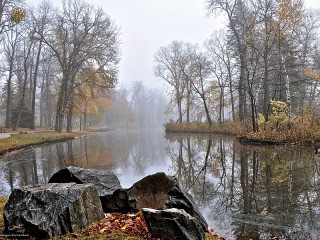 Пазл #35626